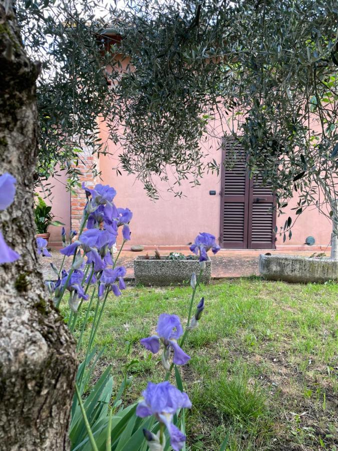Agriturismo La Collina Siena Exterior photo