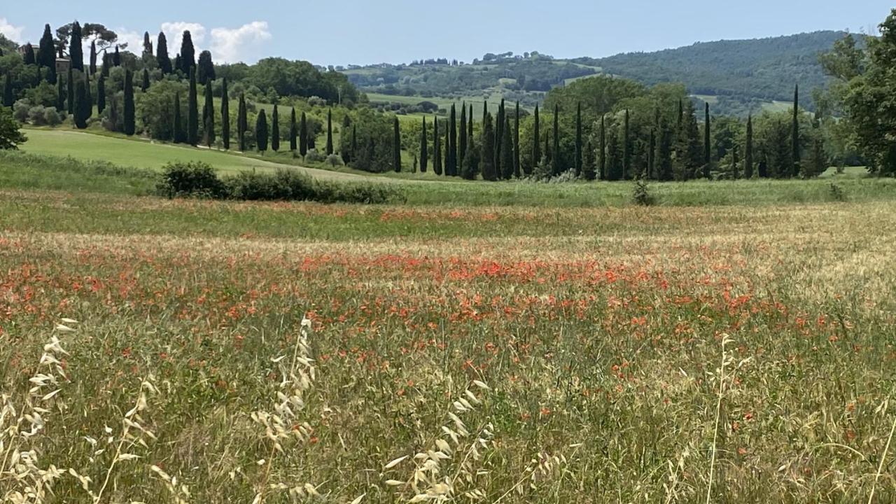 Agriturismo La Collina Siena Exterior photo